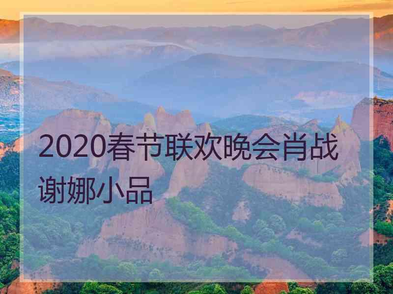 2020春节联欢晚会肖战谢娜小品