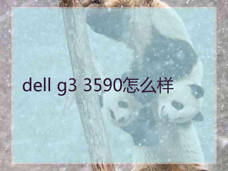 dell g3 3590怎么样