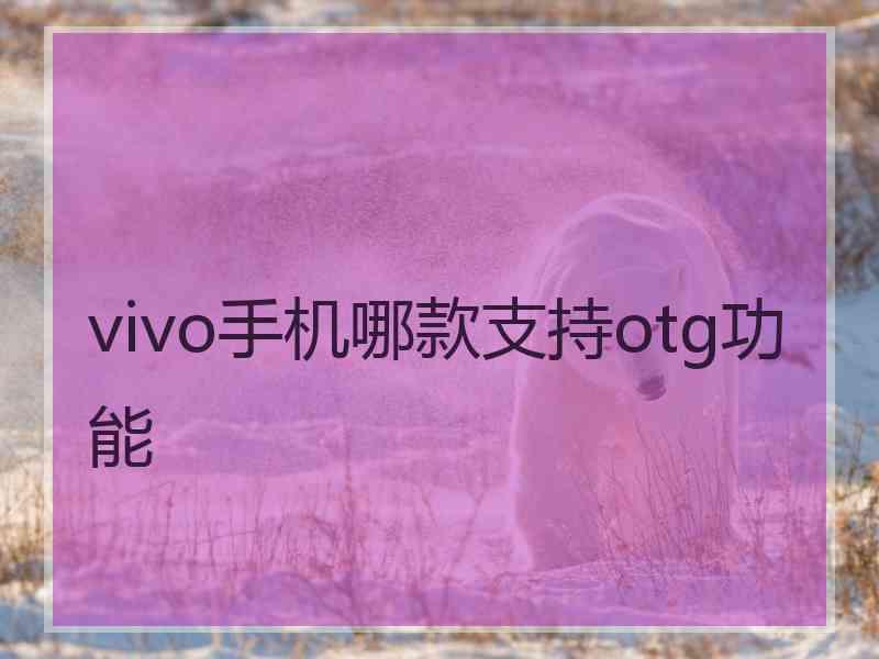 vivo手机哪款支持otg功能