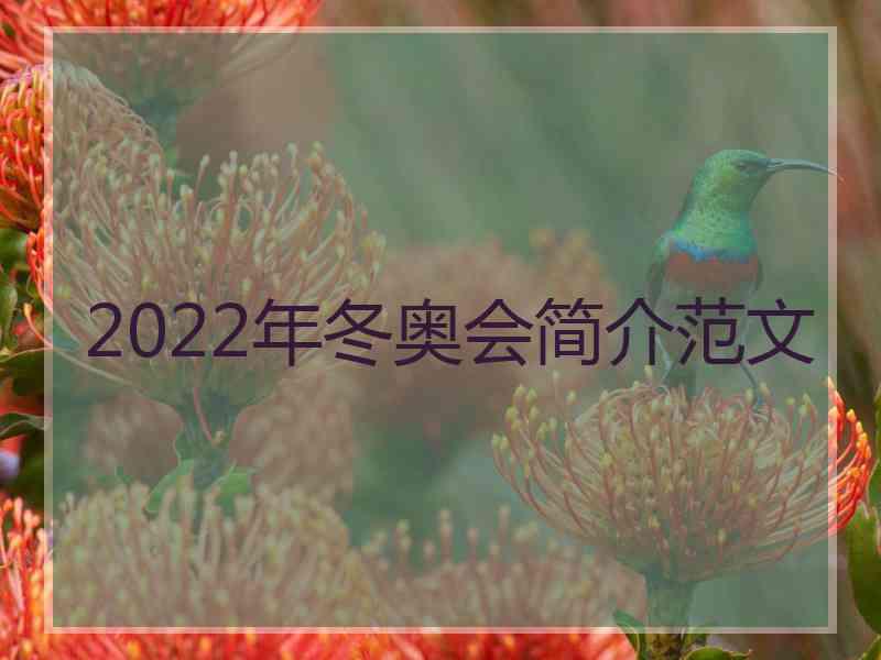 2022年冬奥会简介范文