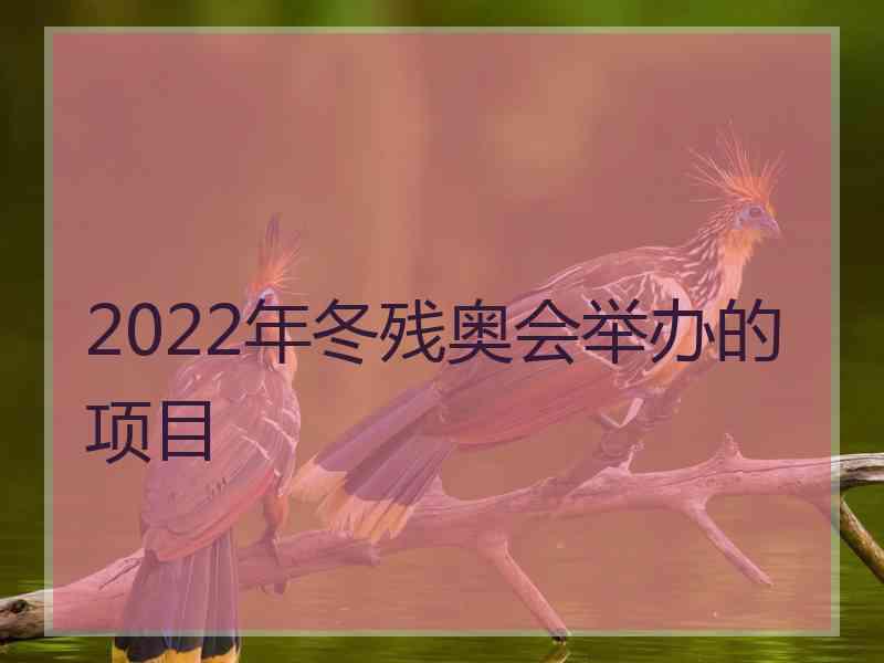 2022年冬残奥会举办的项目