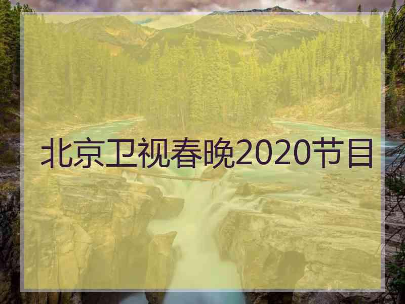 北京卫视春晚2020节目