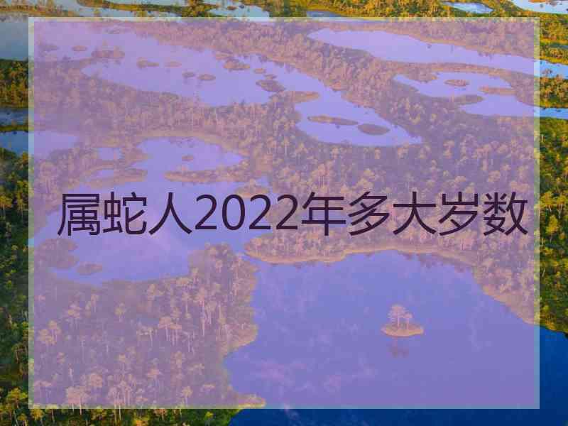 属蛇人2022年多大岁数