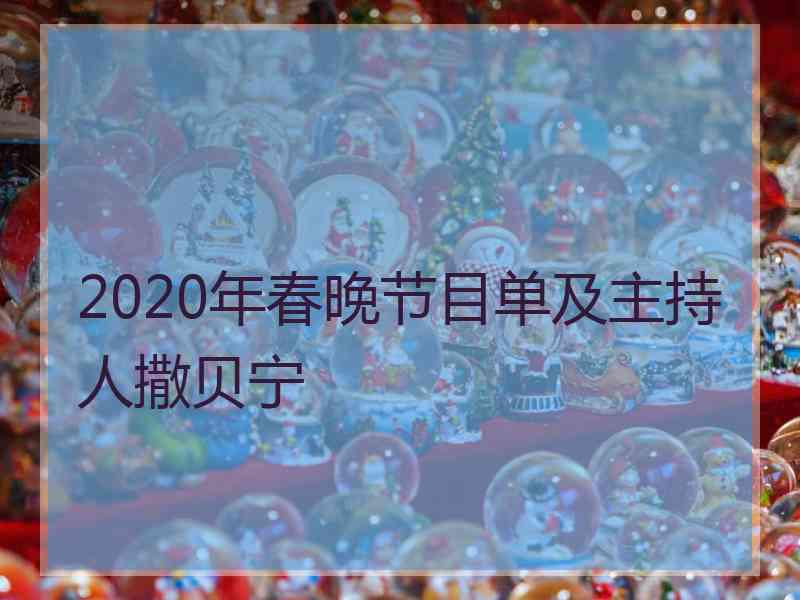 2020年春晚节目单及主持人撒贝宁