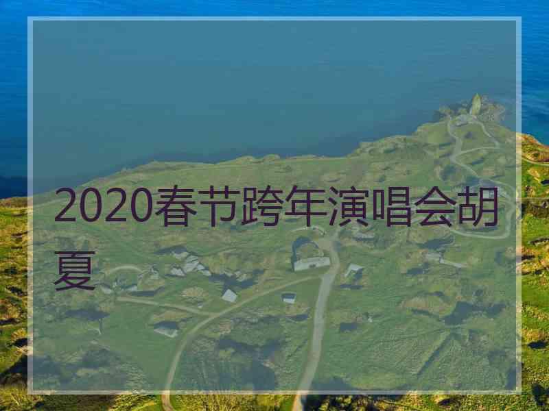 2020春节跨年演唱会胡夏