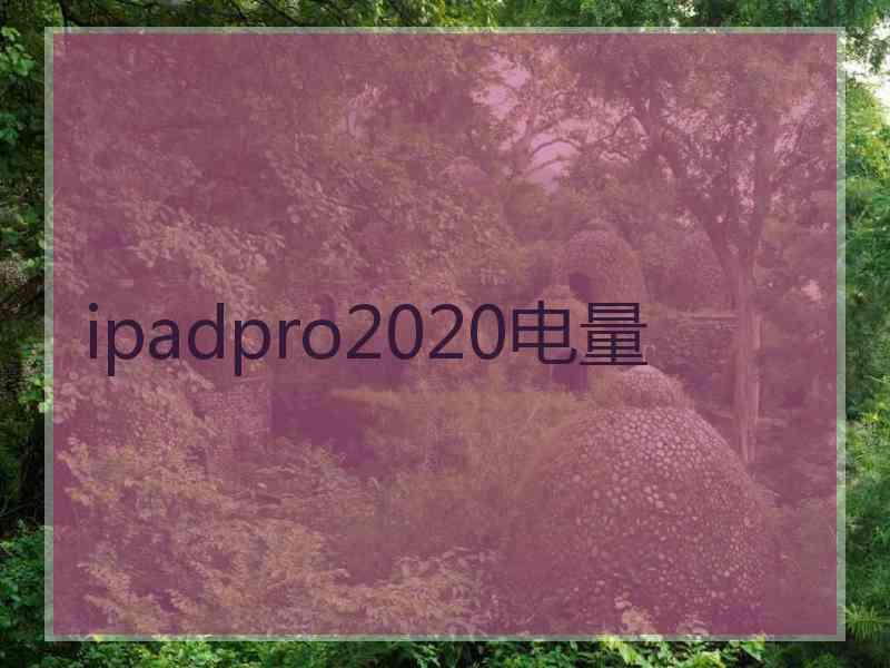 ipadpro2020电量