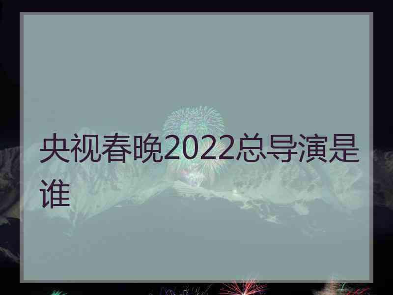 央视春晚2022总导演是谁