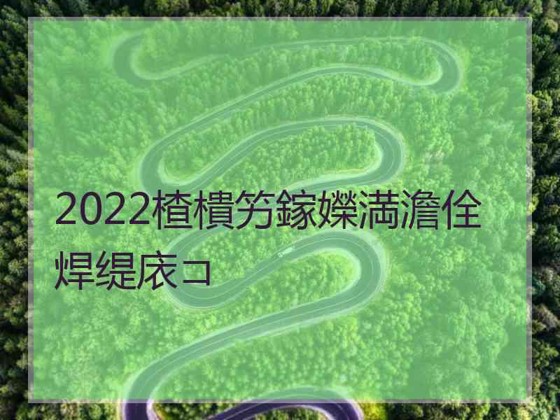 2022楂樻竻鎵嬫満澹佺焊缇庡コ