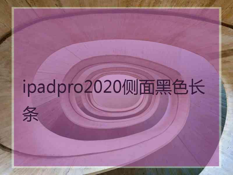 ipadpro2020侧面黑色长条