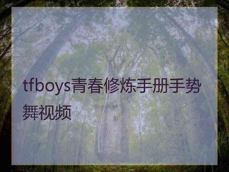 tfboys青春修炼手册手势舞视频