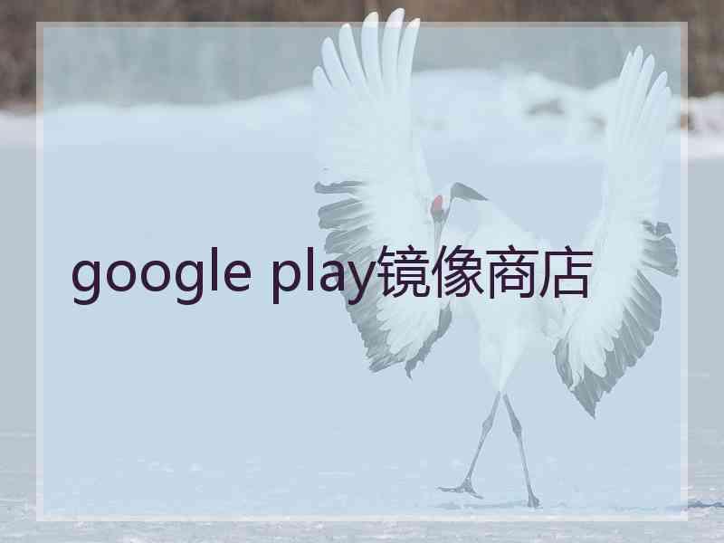 google play镜像商店