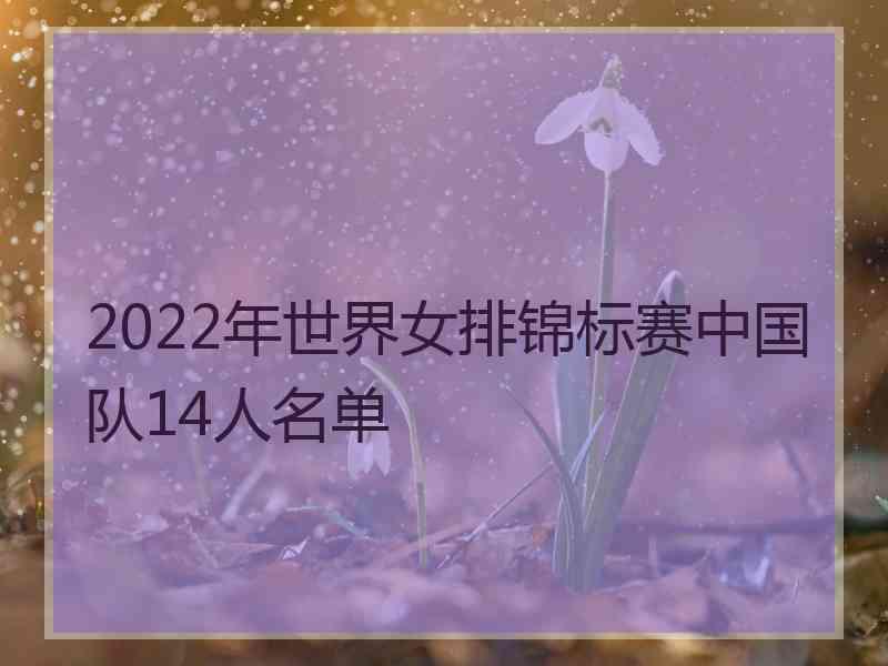 2022年世界女排锦标赛中国队14人名单