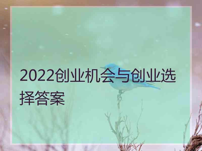 2022创业机会与创业选择答案