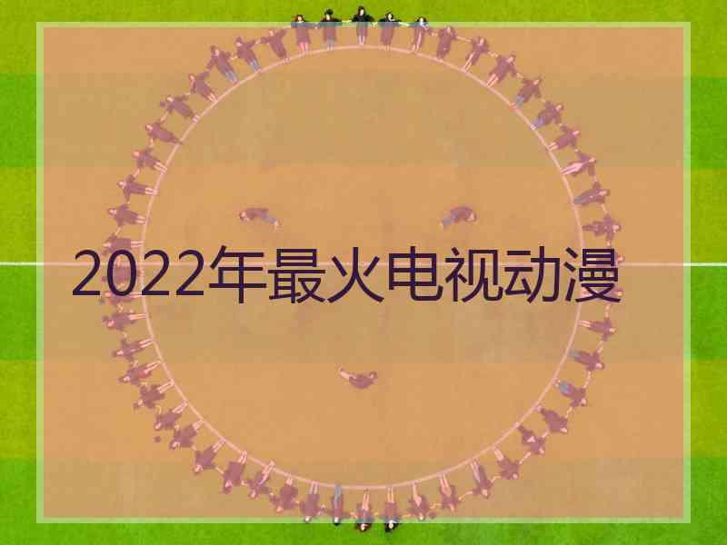 2022年最火电视动漫