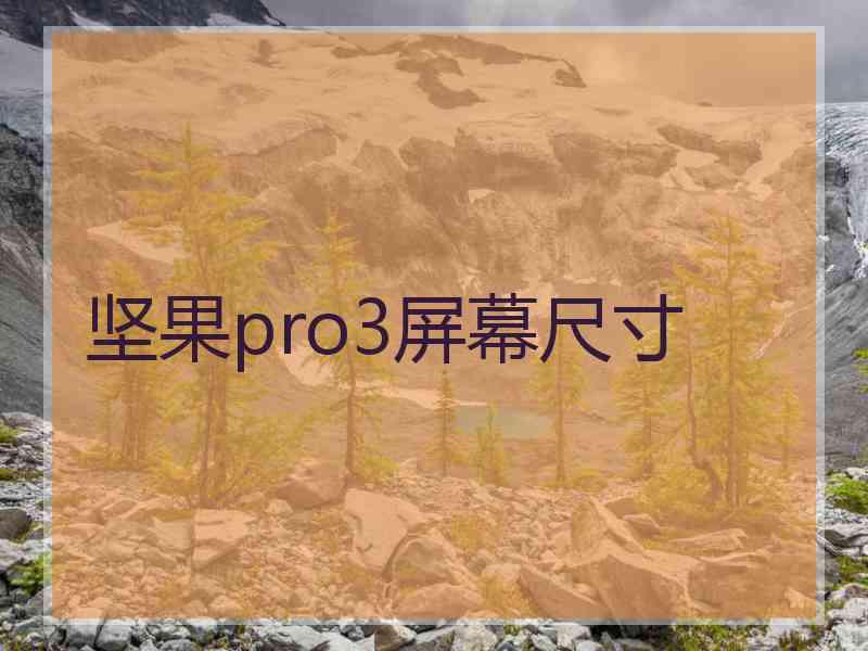 坚果pro3屏幕尺寸