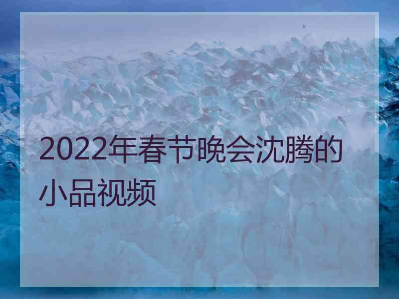 2022年春节晚会沈腾的小品视频