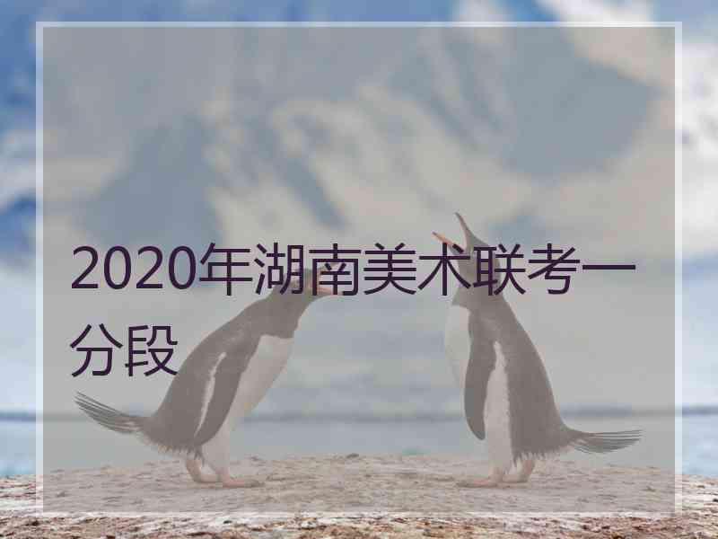 2020年湖南美术联考一分段