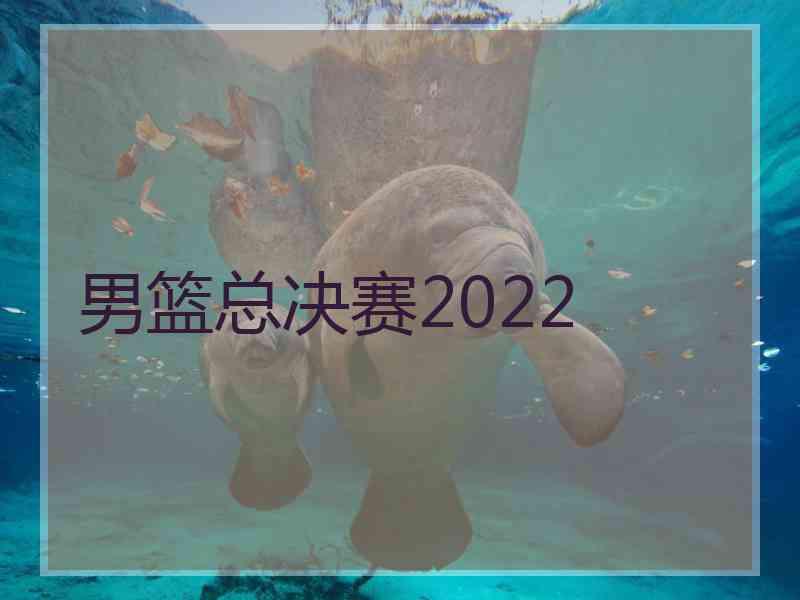 男篮总决赛2022