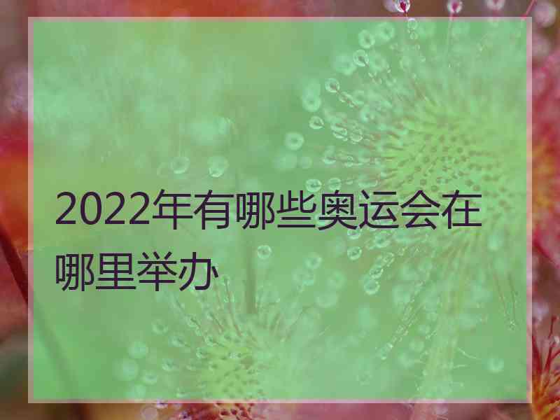 2022年有哪些奥运会在哪里举办