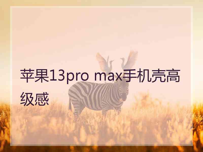 苹果13pro max手机壳高级感