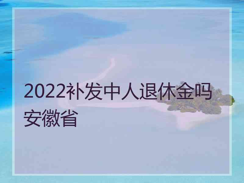 2022补发中人退休金吗安徽省