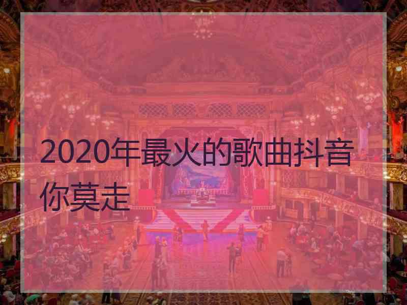 2020年最火的歌曲抖音你莫走