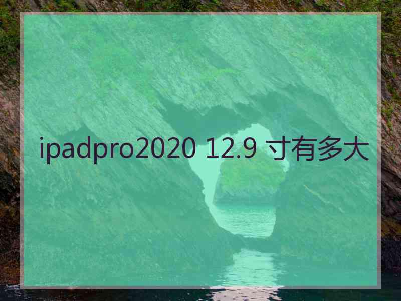 ipadpro2020 12.9 寸有多大