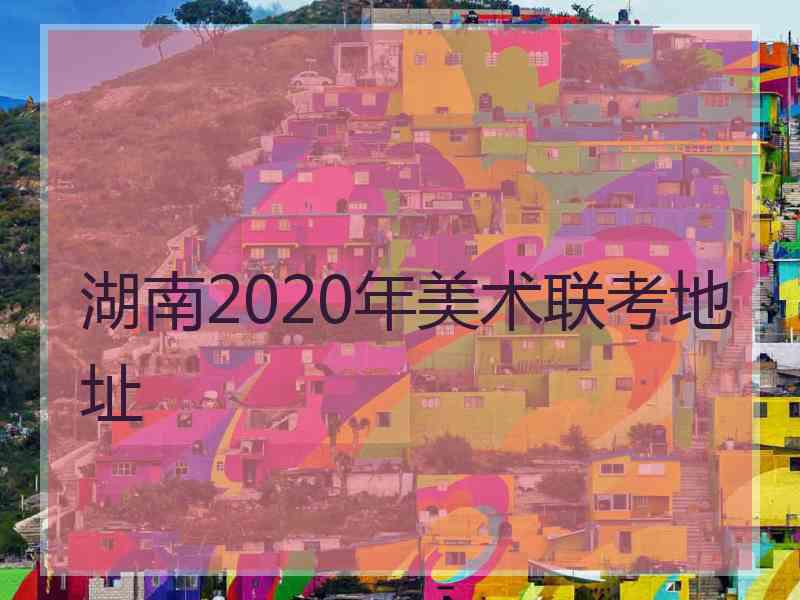 湖南2020年美术联考地址