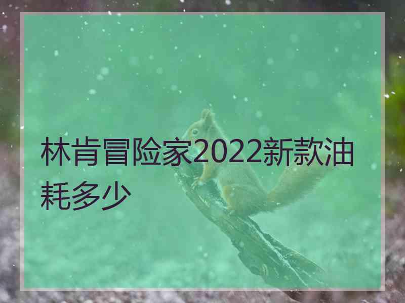 林肯冒险家2022新款油耗多少