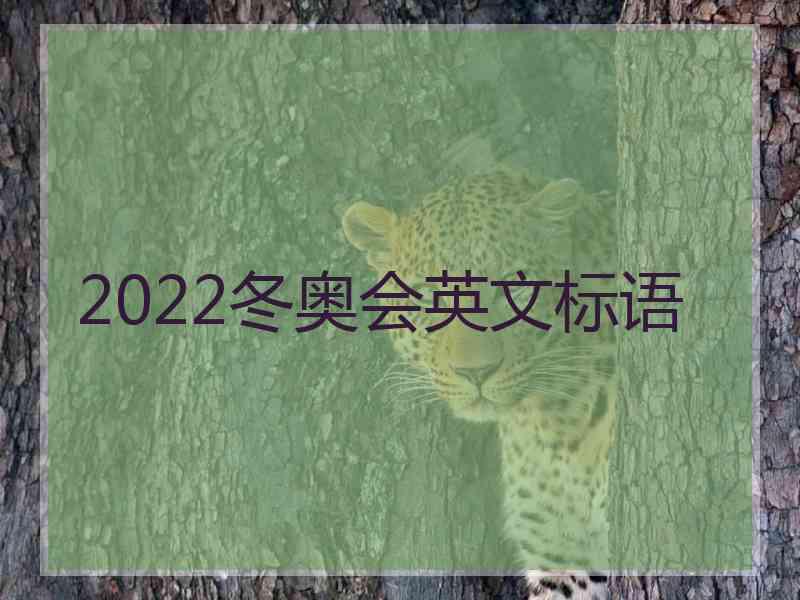 2022冬奥会英文标语