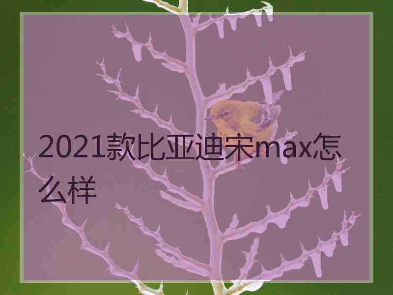 2021款比亚迪宋max怎么样