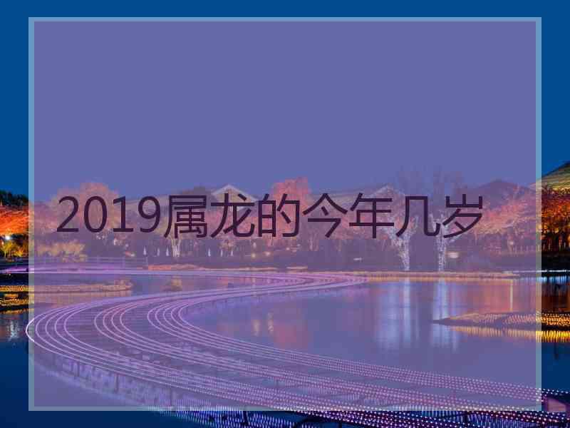 2019属龙的今年几岁