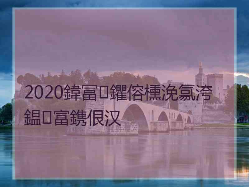 2020鍏冨鑺傛櫄浼氱洿鎾富鎸佷汉