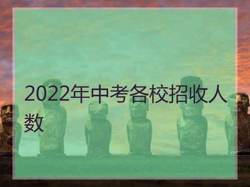 2022年中考各校招收人数