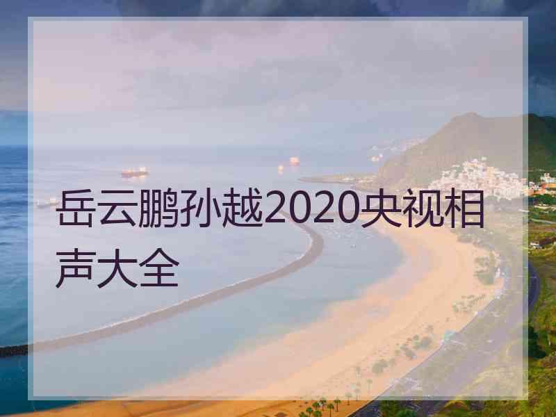 岳云鹏孙越2020央视相声大全