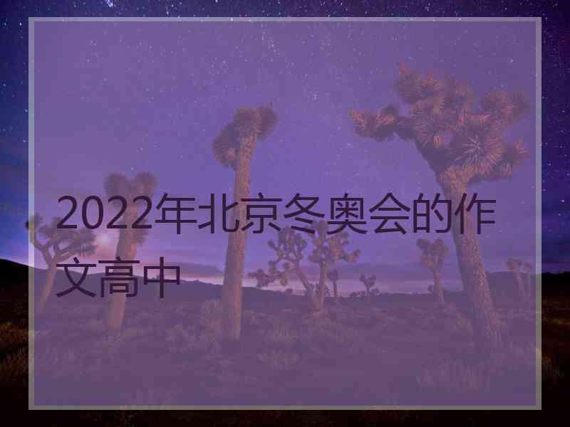 2022年北京冬奥会的作文高中