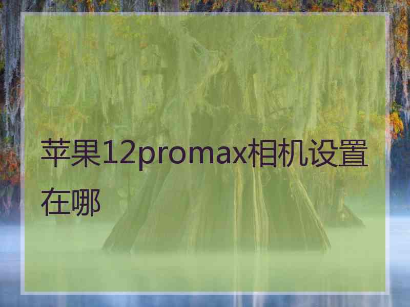 苹果12promax相机设置在哪