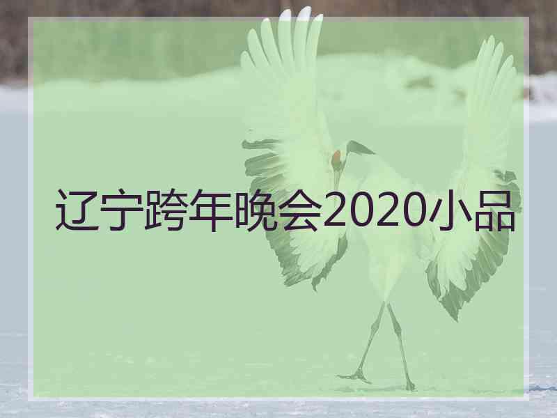 辽宁跨年晚会2020小品