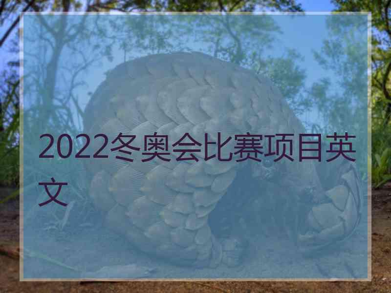 2022冬奥会比赛项目英文