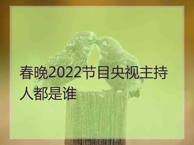 春晚2022节目央视主持人都是谁