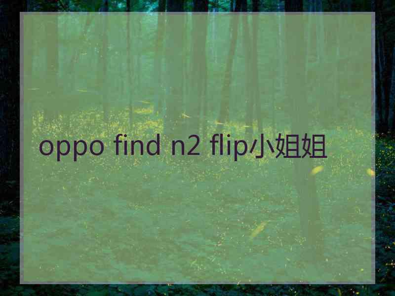 oppo find n2 flip小姐姐