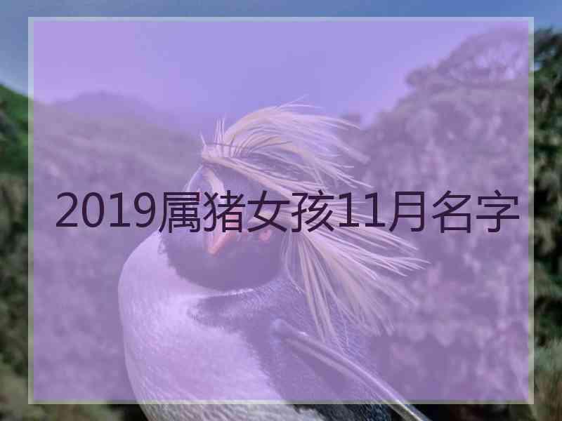 2019属猪女孩11月名字