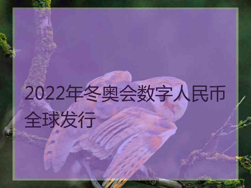 2022年冬奥会数字人民币全球发行