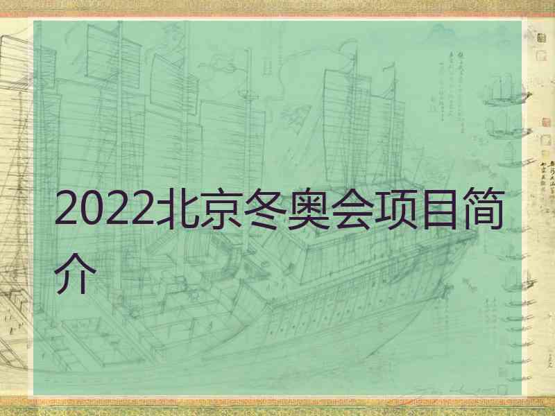 2022北京冬奥会项目简介