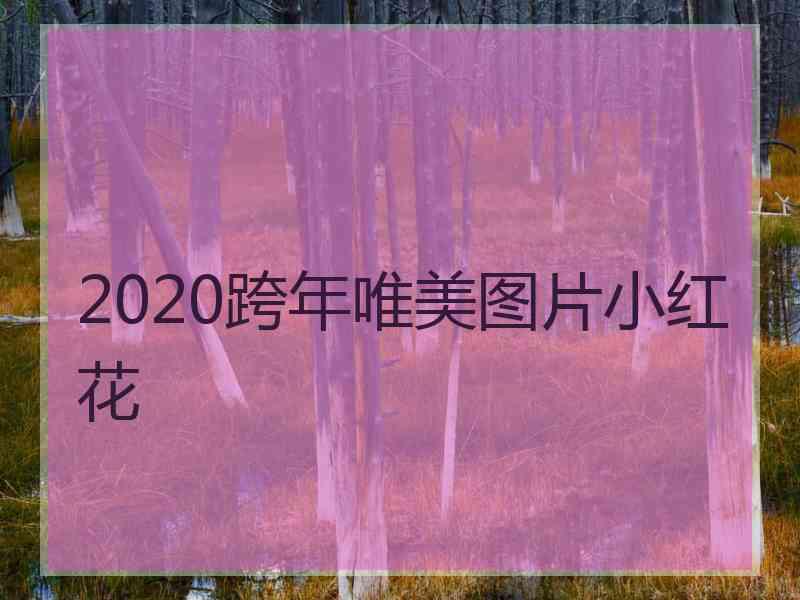 2020跨年唯美图片小红花