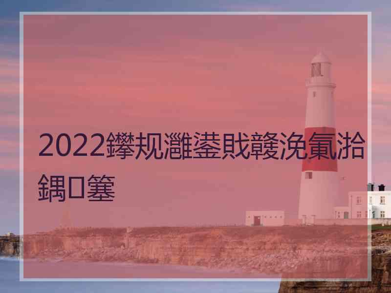 2022鑻规灉鍙戝竷浼氭湁鍝簺