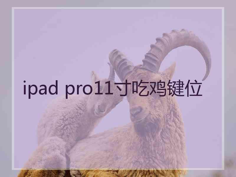 ipad pro11寸吃鸡键位