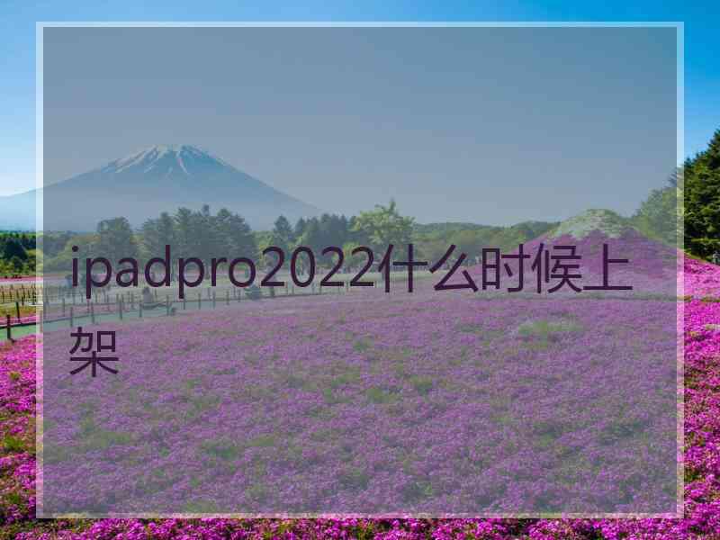 ipadpro2022什么时候上架