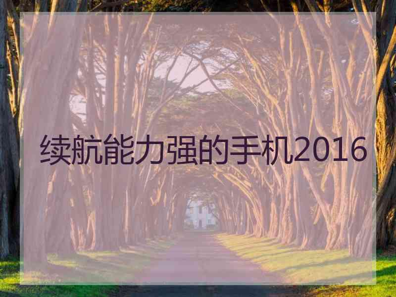 续航能力强的手机2016