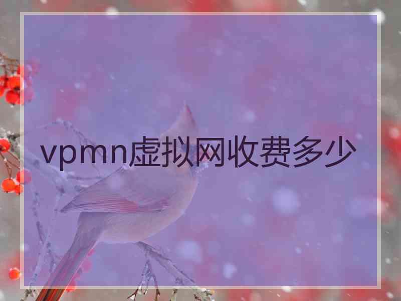 vpmn虚拟网收费多少